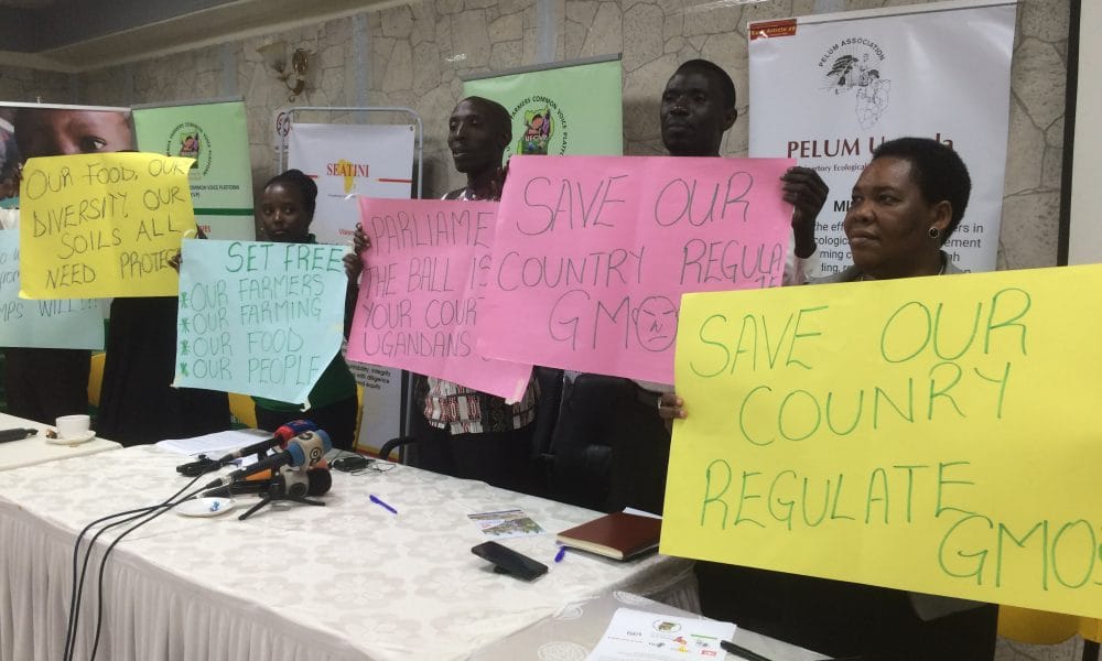 IMG 0982 e1567741257334